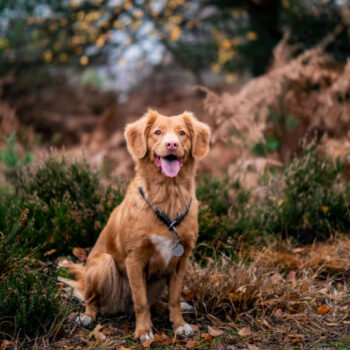 Nature Friendly Scarf