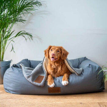 Green Printed Tshirt