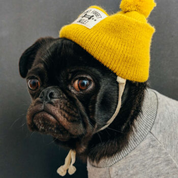 Personalised T-Shirt